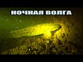 Подводные Обитатели Ночной Волги🌊 Налим, Судак, Лещ, Стерлядь🐟 Подводная съёмка