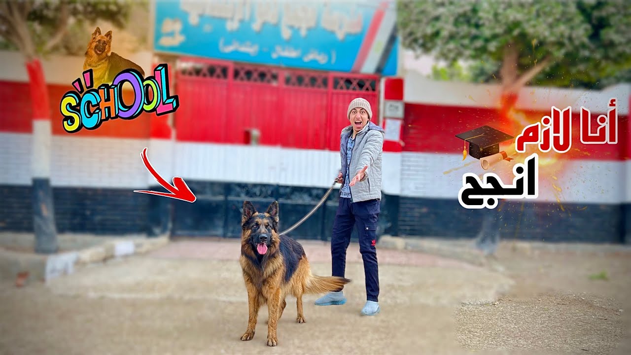 لما اخوك الصغير يشتري كلب وياخده معاه المدرسه 😂🦮| محمد عماد