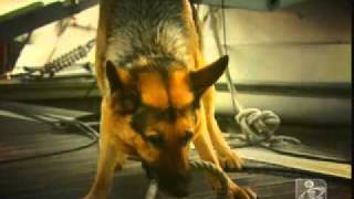 INSPECTOR MAX FX.mov fixa 2010