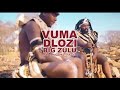 Big Zulu - Vuma Dlozi ft Mnqobi Yazo (Lyrics)