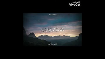 تلاوة جميله للشيخ معاذ عيد ❤