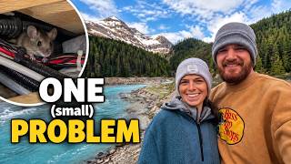 Our Perfect Montana Campsite Had One Big Problem