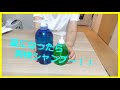 暑い夏にぴったり！おすすめの爽快シャンプーを紹介します！【サンコールシャンプー】