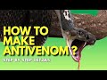 How to make Anti venom ? Antivenom from horse|  #venomoussnakes