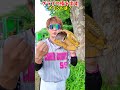 グラブの指を出すメリットって..?😂😂😂 #shorts #野球 #funny