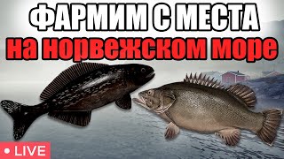 Троллинг и фарм с места • НОРВЕЖСКОЕ МОРЕ • РР4