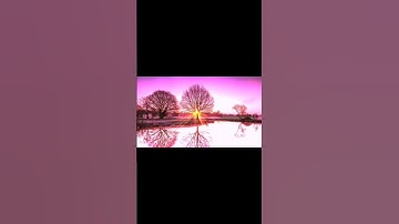 تلاوة خاشعة بصوت جميل #حالات_واتس #قران