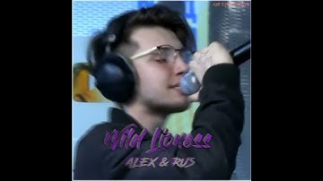 ALEX & RUS - Дикая львица | Whatsapp  Status Songs