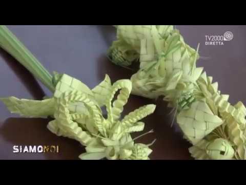 Siamo Noi Sanremo Larte Di Intrecciare Le Palme