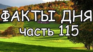 ФАКТЫ ДНЯ. Интересная информация для Вашего ума (Часть 115)