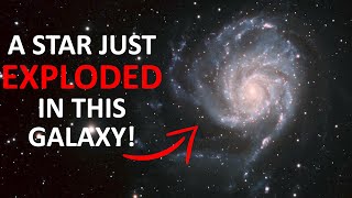 Closest Supernova for a DECADE!