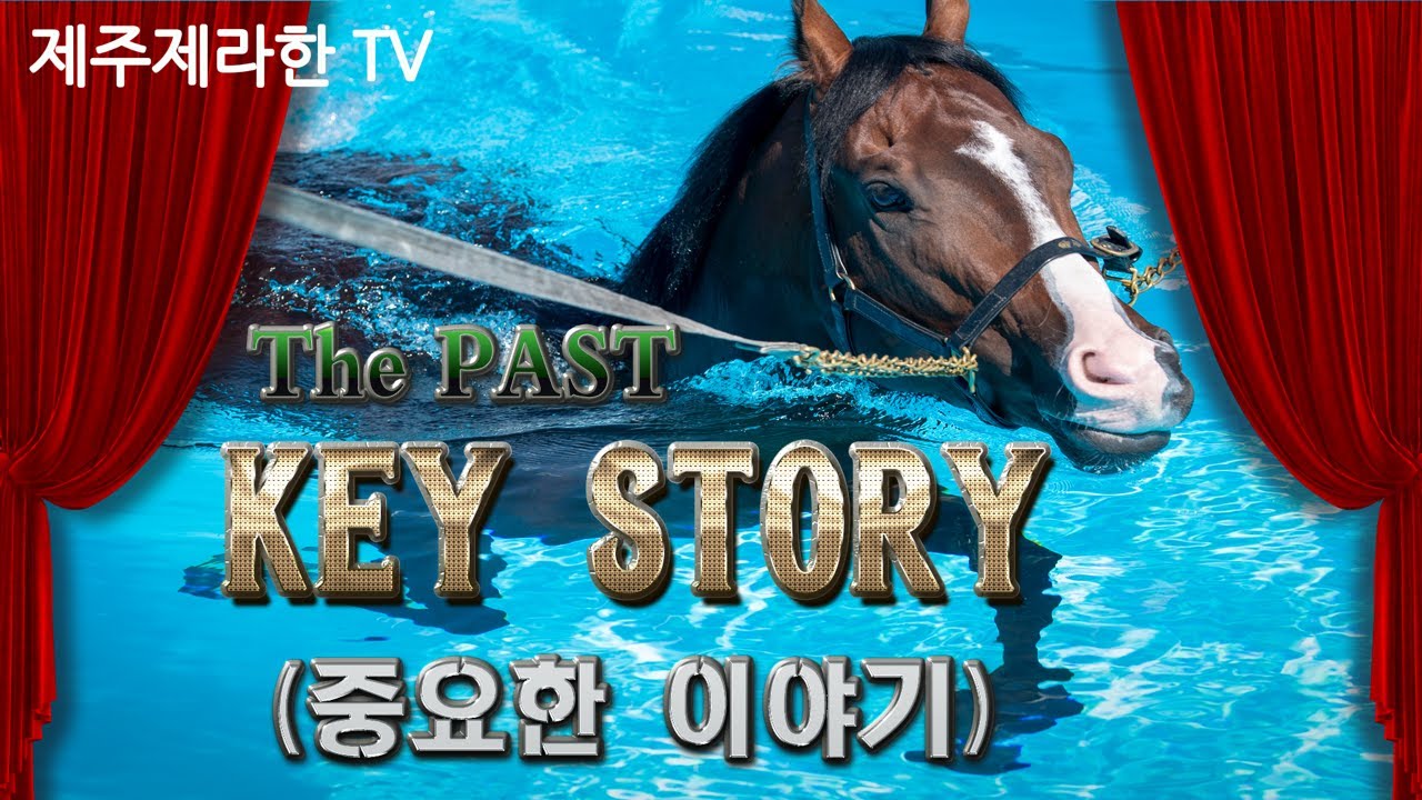 제주제라한TV  12/12(금요) 제주경마 라이브방송