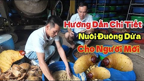 Hướng Dẫn Chi Tiết Cách Nuôi Đuông Dừa Cho Người Mới || NôngNghiệp247