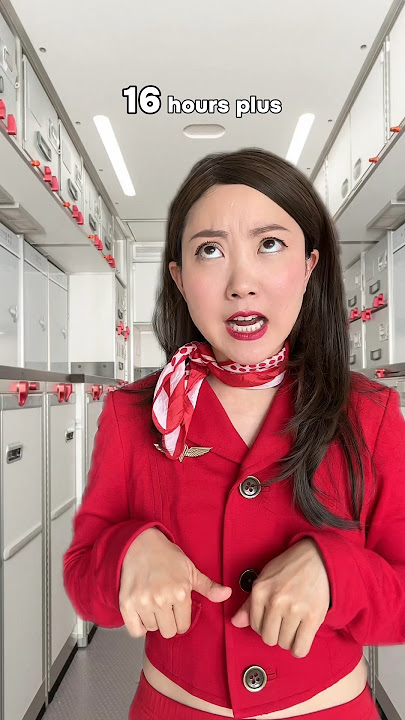 BEWARE BEFORE YOU BECOME A FLIGHT ATTENDANT! 😱