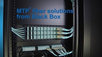 MTP Connector Rackmount Fiber Solutions | Black Box®