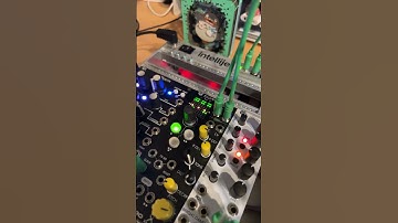 DNiPROのDOTはかわいい#akisai #modularsynth #モジュラーシンセ