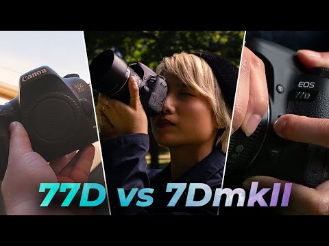 Quel est le meilleur ? Canon 77D ou 7D Mark II ?