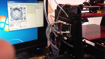 Y moves only in one direction