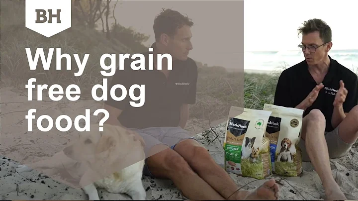 Why grain free dog food?