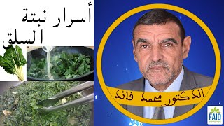 نبات السلق  يخفض ضغط الدم المرتفع | الدكتور الفايد