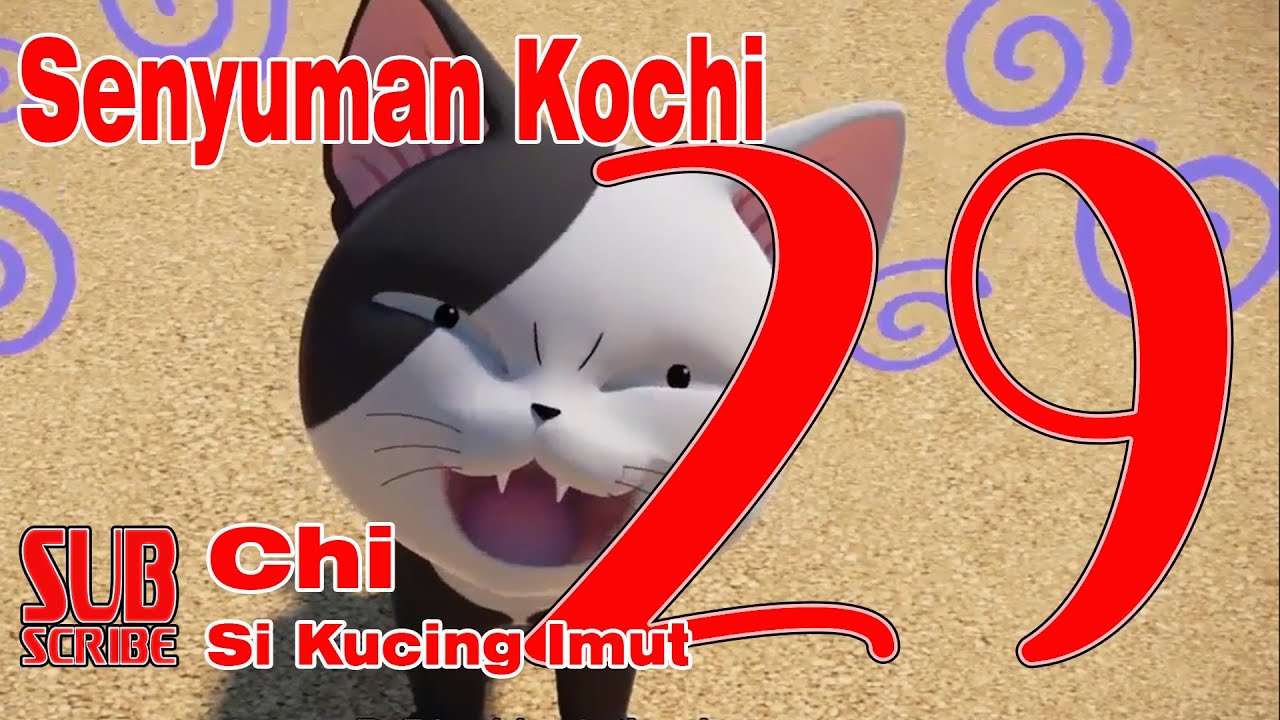 Serial Kartun Binatang Ll Chi Si Kucing Imut Episode 29 Senyuman Kochi YouTube