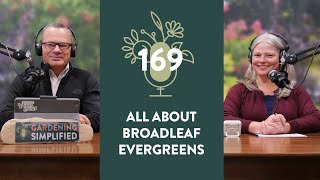 Download Lagu The Beauty and Benefits of Broadleaf Evergreens | 169 MP3