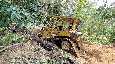 AMAZING || HOW THE D6R XL BULLDOZER WORKS CLEARING WILD TREES TO BUILD NEW ROADS