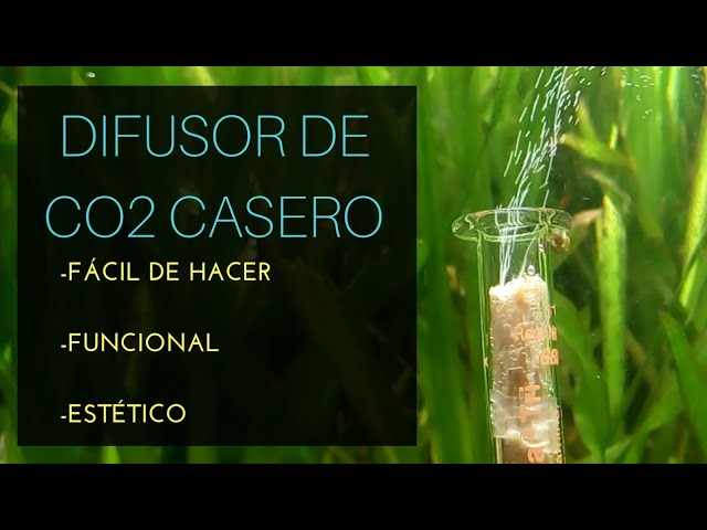 Difusor de CO2 CASERO ¡EN 1 MINUTO!, DIY
