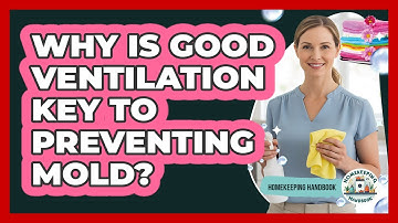 Why Is Good Ventilation Key To Preventing Mold?