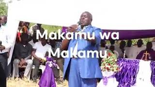 Makamu wa Makamu