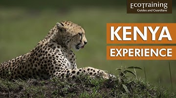 Nature Walks, Sleepout, & Conservation | The Kenya Experience