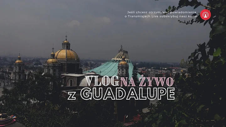 [NV#400] Trwaj mimo ciemnoci - vlog na ywo z Guada...