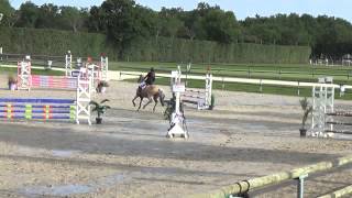 sologn pony 2014 0822 critérium poney1C albane rébus