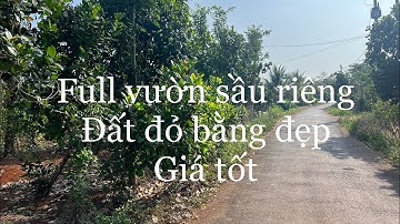 Kẹt tiền lắm mới bán 5 sào vườn sầu riêng xã láng lớn huyện châu Đức tỉnh bà rịa Vũng tàu