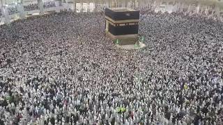 Hajj Tawaf 2019 - Labbaik Allahumma Labbaik - Talash Peace