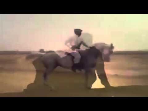 شيلات الكربي