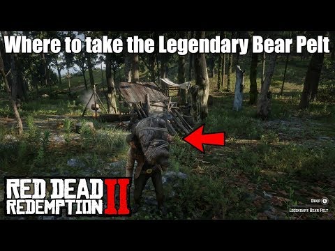 Where to take the Legendary Bear Pelt - Red Dead Redemption 2 - EASY!