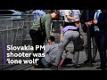 Slovakia pm shooting suspect charged with attempted murder