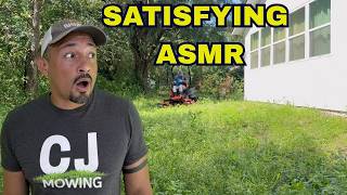 Unbelievably Satisfying Yard Cleanup ASMR