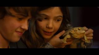 Bernie The Dolphin 2018 Hd Trailer Released Upcoming Family Adventure Movie