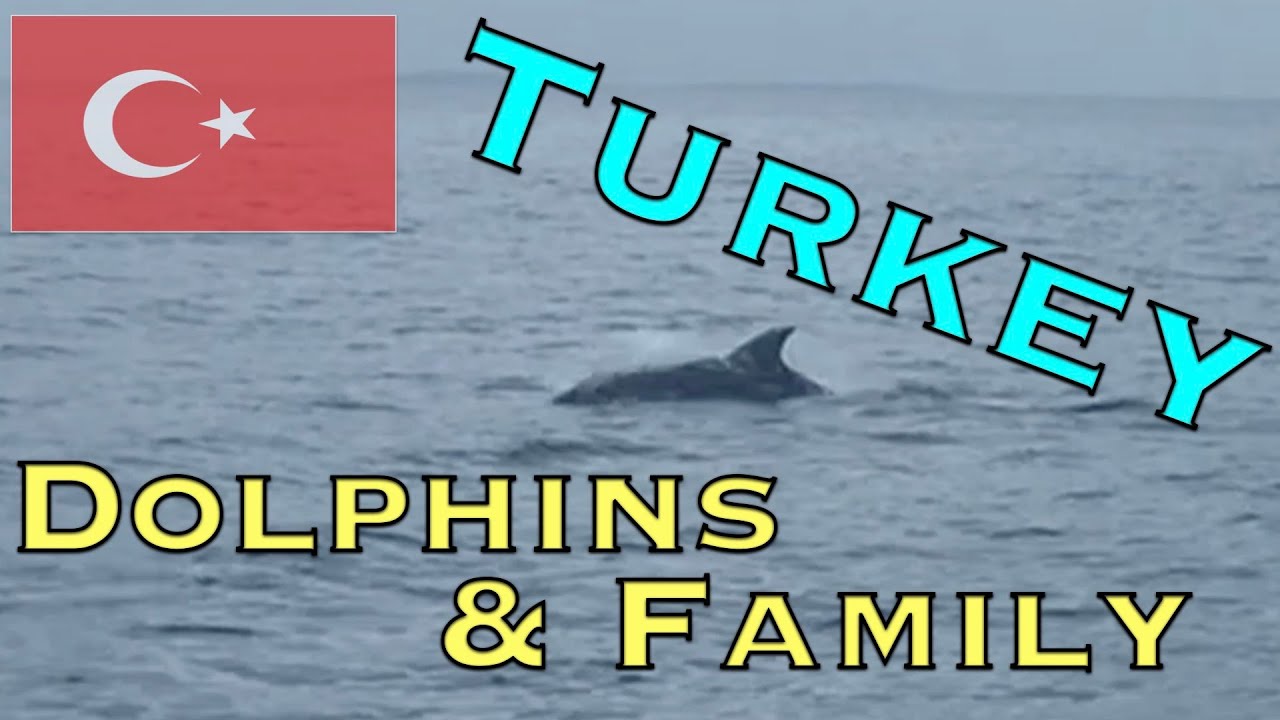 English Russian Sailing Family  Turkey, Our First Guests in Gulluk!