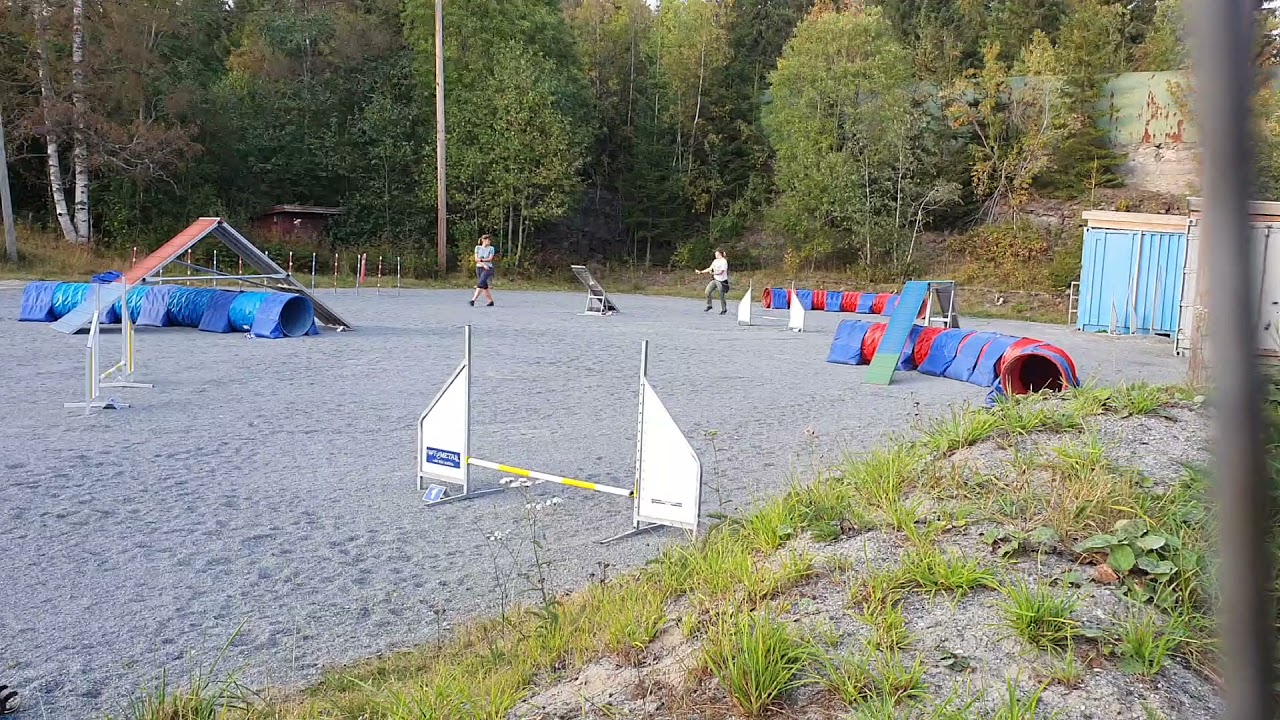 snusken åpen agility klubbmesterskap - 🥉🎉