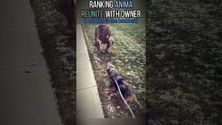 This is the funniest compilation of the week—epic fails, silly moments, and pure chaos   (24)