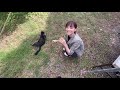 猫とおたわむれ