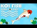 Cat games fish  catching koi fish for cats to watch