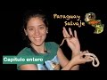 PARAGUAY SALVAJE: Noche en el Chaco Seco