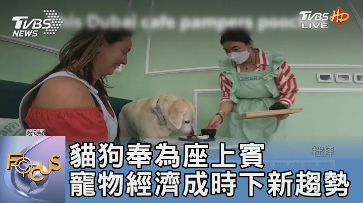 貓狗奉為座上賓 寵物經濟成時下新趨勢 ｜FOCUS午間新聞 20230120@TVBSNEWS01 - 天天要聞