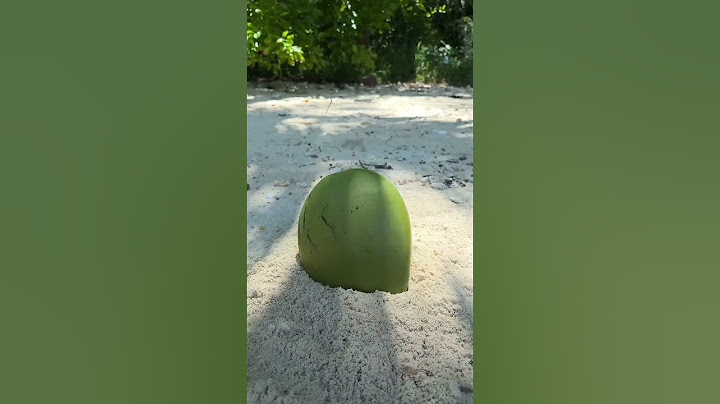 This is a regular COCONUT #camping #survival #bushcraft #outdoors