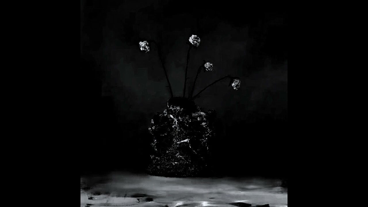 C3 - What does it matter how my heart breaks(insane slowed + reverb) The Caretaker