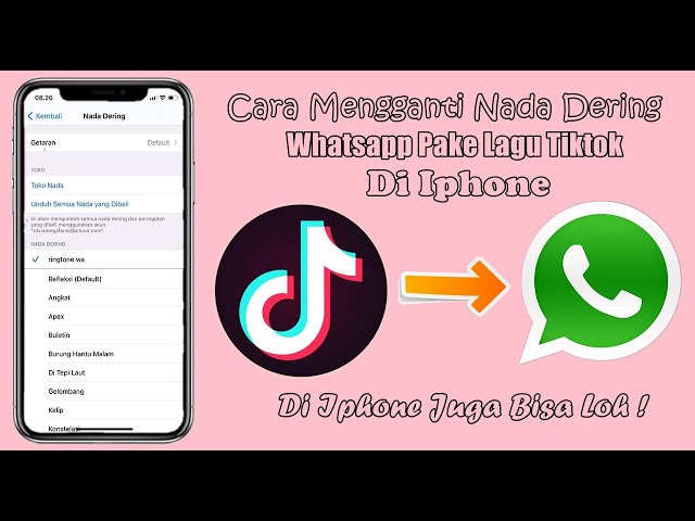 Cara Ganti Nada Dering Whatsapp Dengan Lagu Tiktok Di Iphone class=